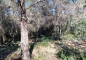 Parcel·la urbanitzable en venda a Calafell ref.: TR102741 foto