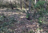 Parcel·la urbanitzable en venda a Calafell ref.: TR102741 foto