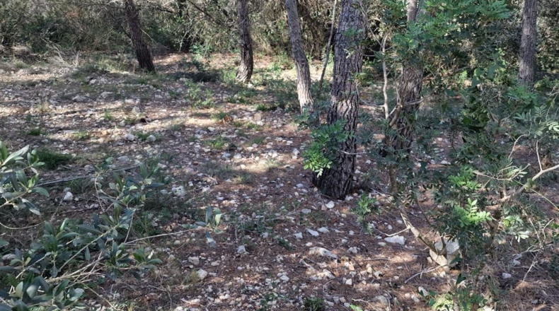 Tarragona - Calafell - 1273m2