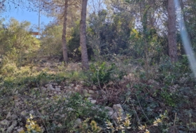 Foto 16