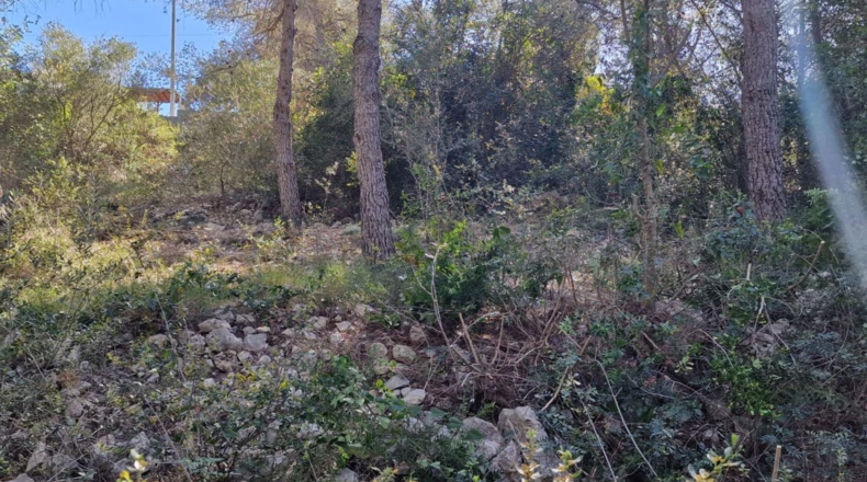 Tarragona - Calafell - 1273m2