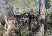 Parcel·la urbanitzable en venda a Calafell ref.: TR102741 foto