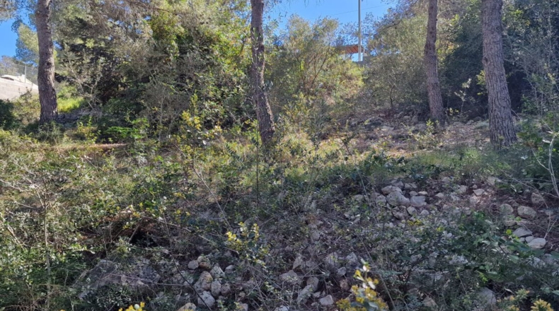 Tarragona - Calafell - 1273m2