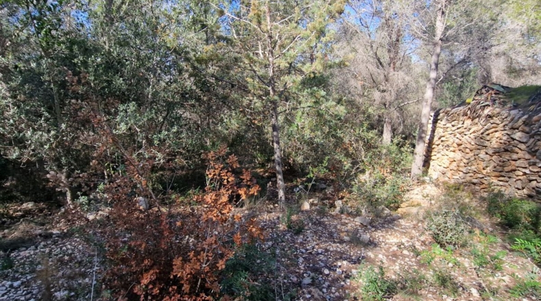 Tarragona - Calafell - 1273m2