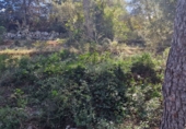 Parcel·la urbanitzable en venda a Calafell ref.: TR102741 foto