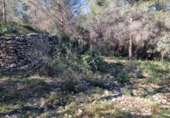 Parcel·la urbanitzable en venda a Calafell ref.: TR102741 foto