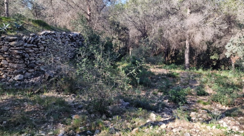 Tarragona - Calafell - 1273m2