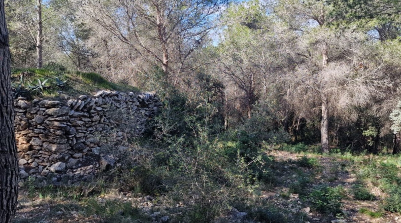 Tarragona - Calafell - 1273m2