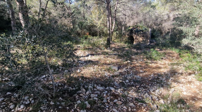 Tarragona - Calafell - 1273m2
