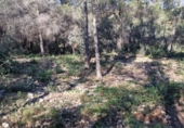 Parcel·la urbanitzable en venda a Calafell ref.: TR102741 foto