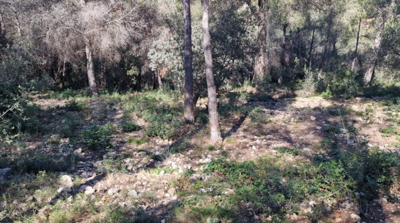 Tarragona - Calafell - 1273m2