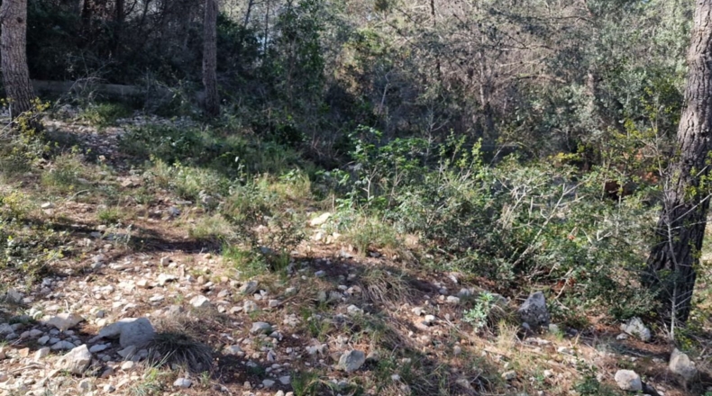Tarragona - Calafell - 1273m2