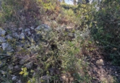 Parcel·la urbanitzable en venda a Calafell ref.: TR102741 foto