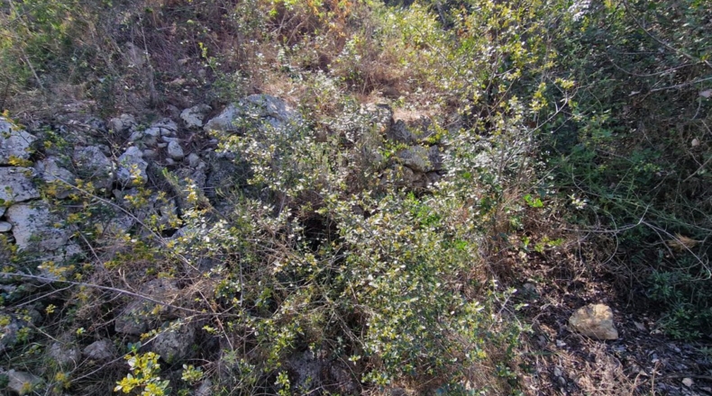 Tarragona - Calafell - 1273m2