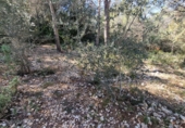 Parcel·la urbanitzable en venda a Calafell ref.: TR102741 foto