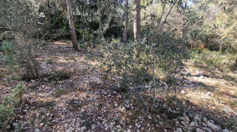 Tarragona - Calafell - 1273m2