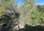 Parcel·la urbanitzable en venda a Calafell ref.: TR102741 foto