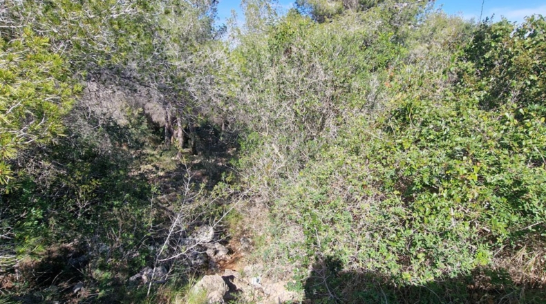 Tarragona - Calafell - 1273m2