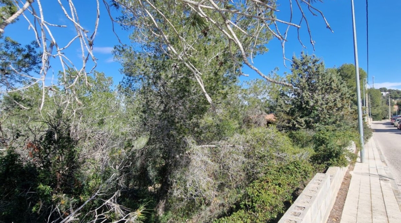 Tarragona - Calafell - 1273m2