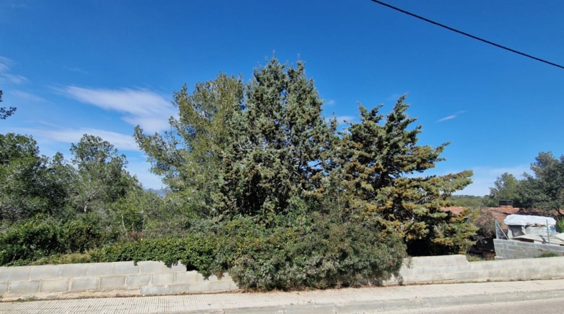 Tarragona - Calafell - 1273m2