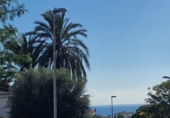 Chalet independiente con terreno en venta en la España, Cunit, ref: TR353451 foto