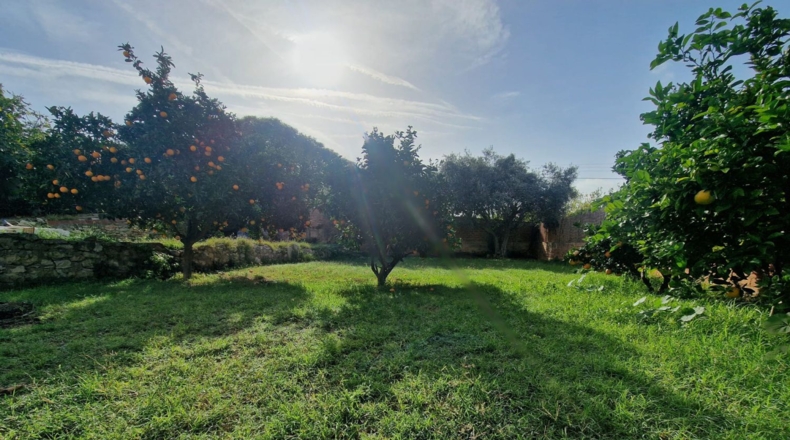 Tarragona - la Pobla de Montornès - 1141m2