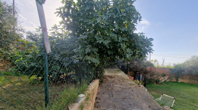 Tarragona - la Pobla de Montornès - 1141m2