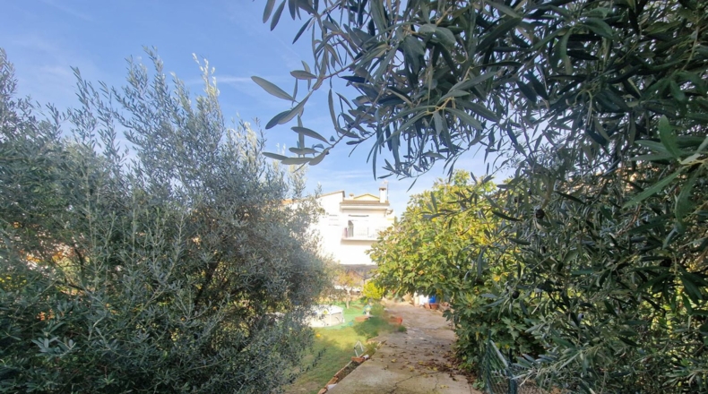 Tarragona - la Pobla de Montornès - 1141m2