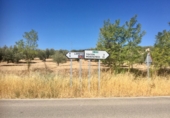 Land for sale in Íllora ref: TR40006 photo