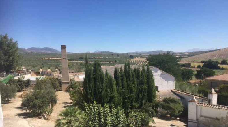 Granada - Brácana - 910m2