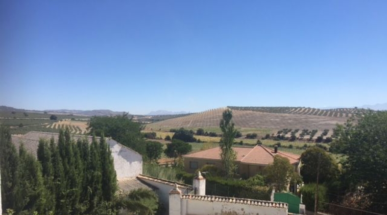 Granada - Brácana - 910m2