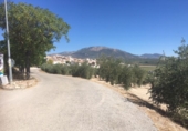 Land for sale in Íllora ref: TR40006 photo