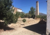 Land for sale in Íllora ref: TR40006 photo
