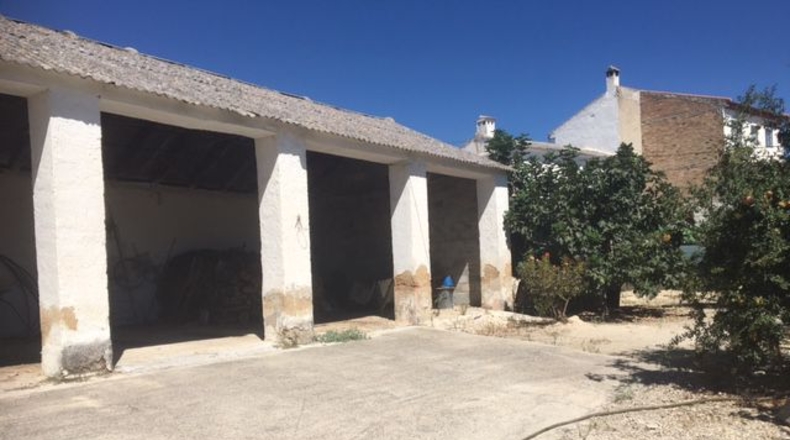 Granada - Brácana - 910m2