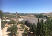 Land for sale in Íllora ref: TR40006 photo