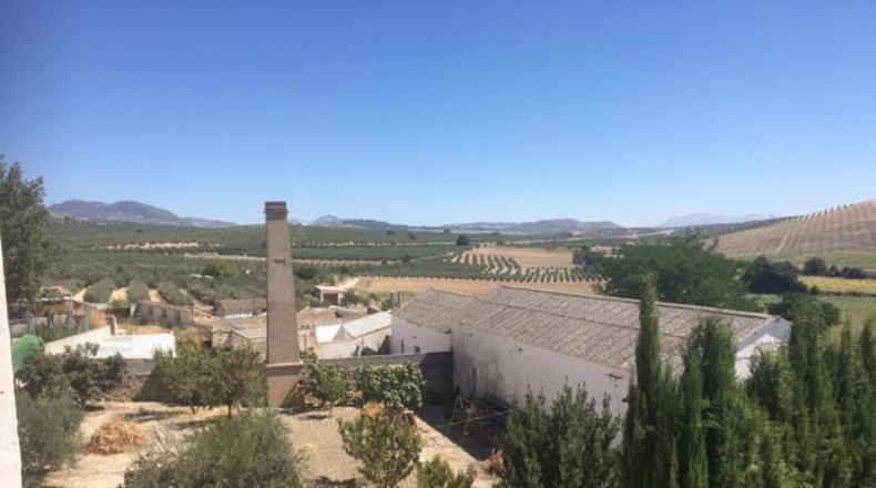 Granada - Brácana - 910m2