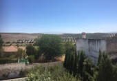 Land for sale in Íllora ref: TR40006 photo