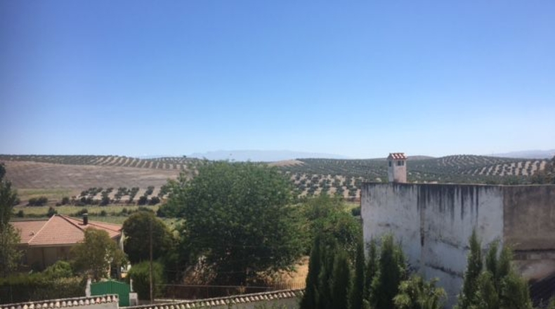 Granada - Brácana - 910m2