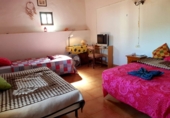 Rural estate for sale in Villanueva de la Concepción ref: TR274498 photo