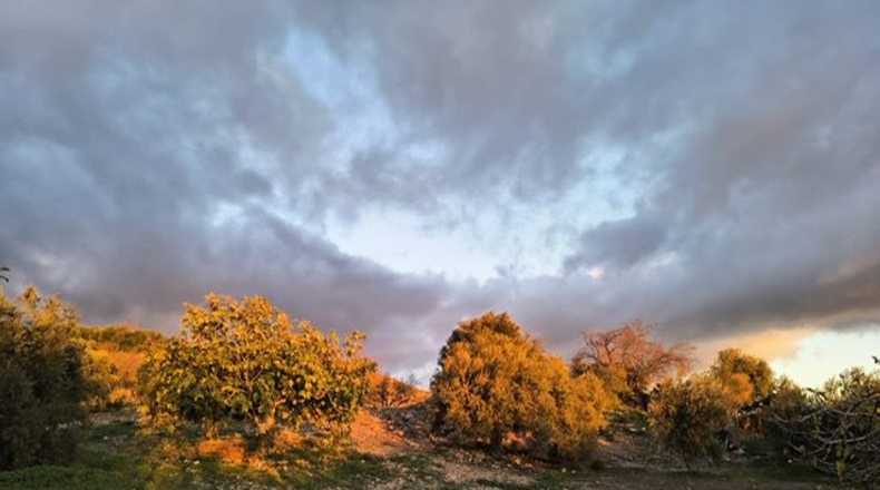 Malaga - Villanueva de la Concepción - 18000m2