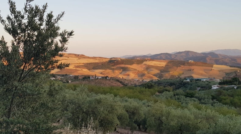 Malaga - Villanueva de la Concepción - 18000m2