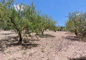 Rural estate for sale in Villanueva de la Concepción ref: TR274498 photo