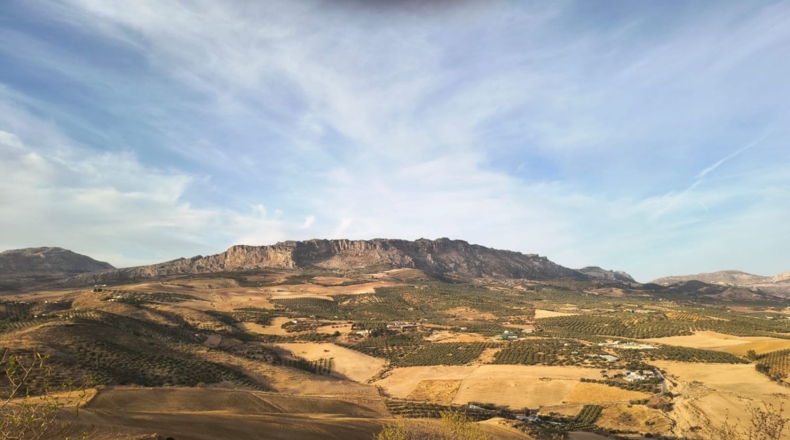 Malaga - Villanueva de la Concepción - 18000m2