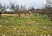 Rural estate for sale in Villanueva de la Concepción ref: TR274498 photo