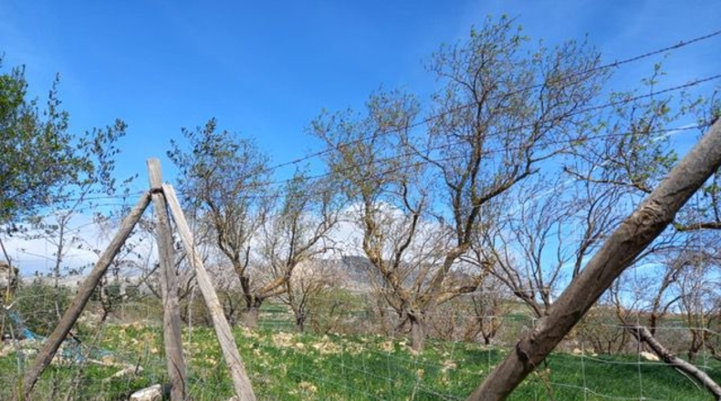 Malaga - Villanueva de la Concepción - 18000m2
