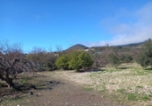 Rural estate for sale in Villanueva de la Concepción ref: TR274498 photo