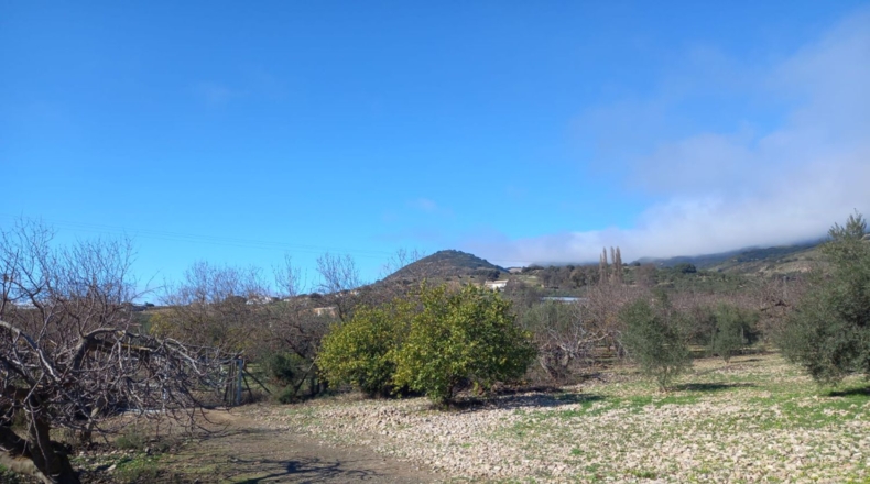 Malaga - Villanueva de la Concepción - 18000m2