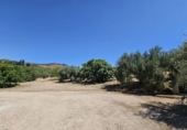 Rural estate for sale in Villanueva de la Concepción ref: TR274498 photo