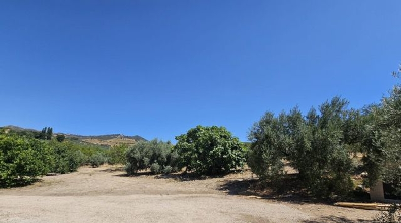 Malaga - Villanueva de la Concepción - 18000m2
