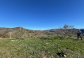 Rural estate for sale in Casabermeja ref: TR284753 photo